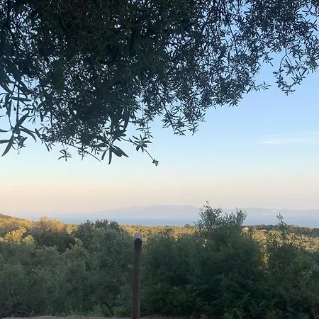 旅馆 Shkolla & Vuno