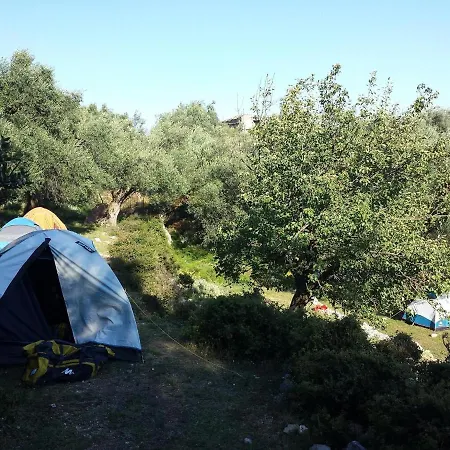 Shkolla & *