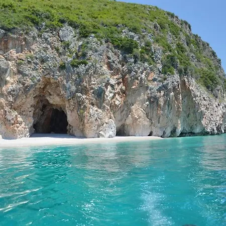 Shkolla & *