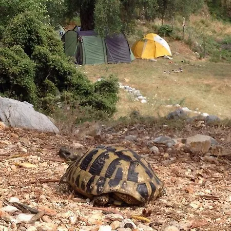 Auberge de jeunesse Shkolla &