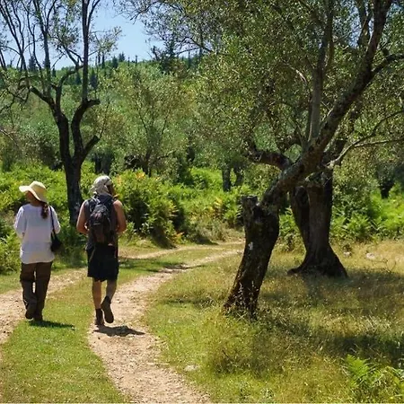 Shkolla Hostel&camping Ostello
