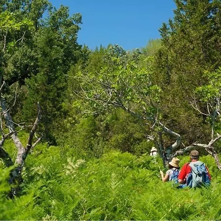 Shkolla Hostel&camping Ostello *