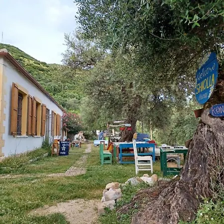 Shkolla & * Vuno