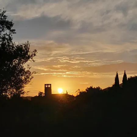 Shkolla & Vuno