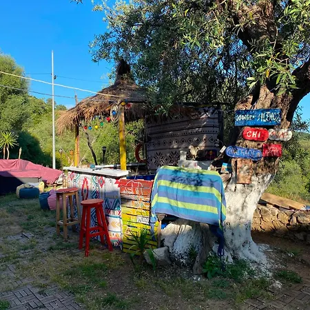 Shkolla & *