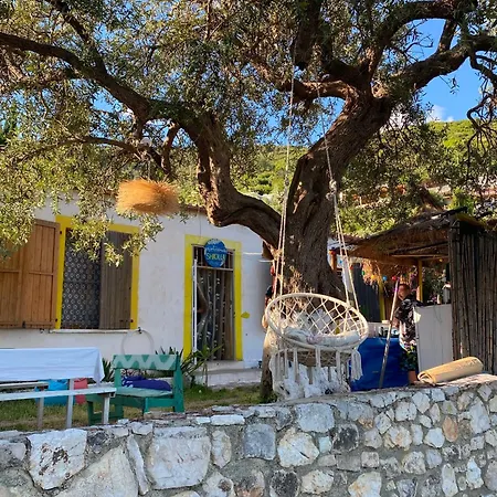 Shkolla & Vuno