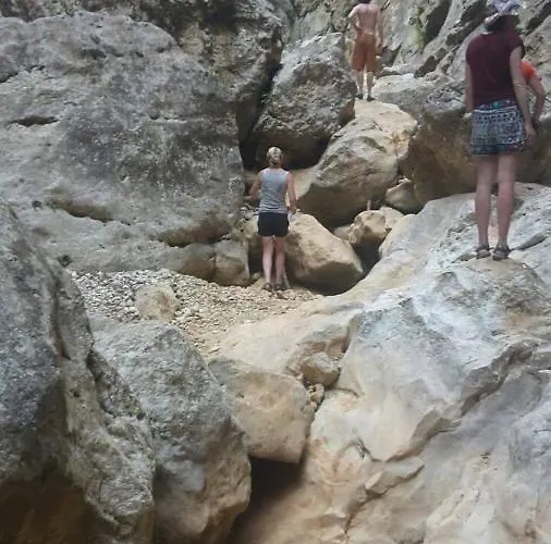 Shkolla & ホステル