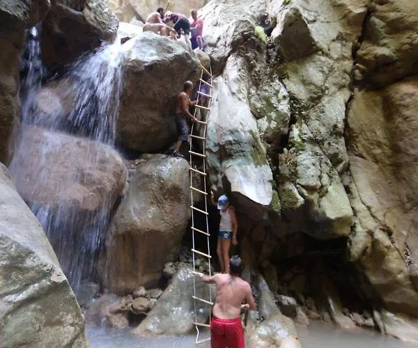 Shkolla & 호스텔 *