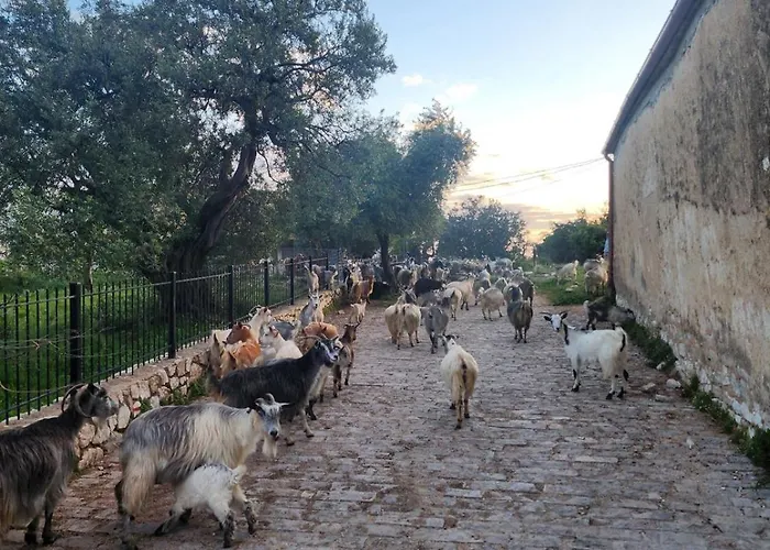 ホステル Shkolla & *