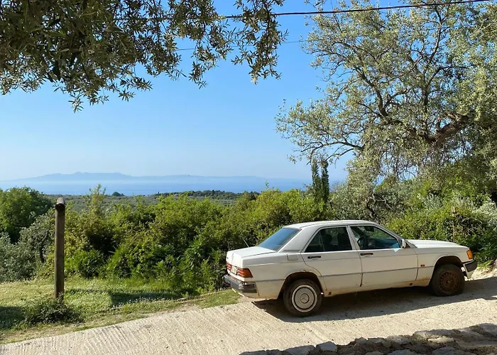 호스텔 Shkolla & *