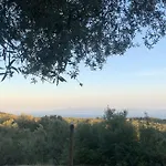 Hostel Shkolla & Vuno