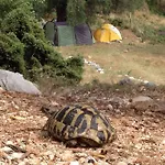 Hostel Shkolla &