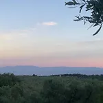 Shkolla &