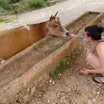 Shkolla & *