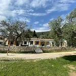 Shkolla & Hostel *