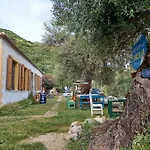 Shkolla & * Vuno
