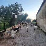 Hostel Shkolla & *
