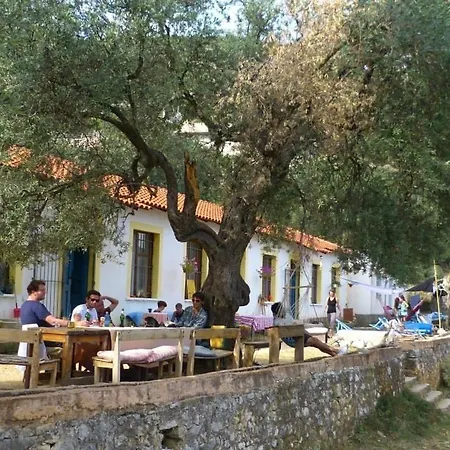 Shkolla & *