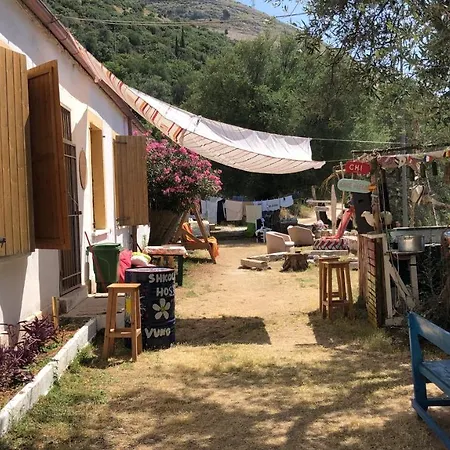 Shkolla & * Vuno