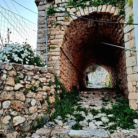 Shkolla & *