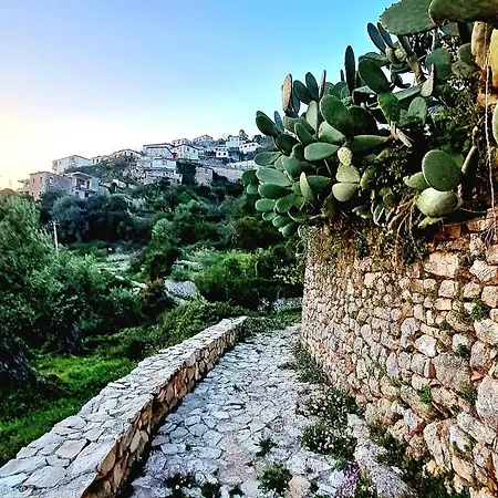 Shkolla & Vuno