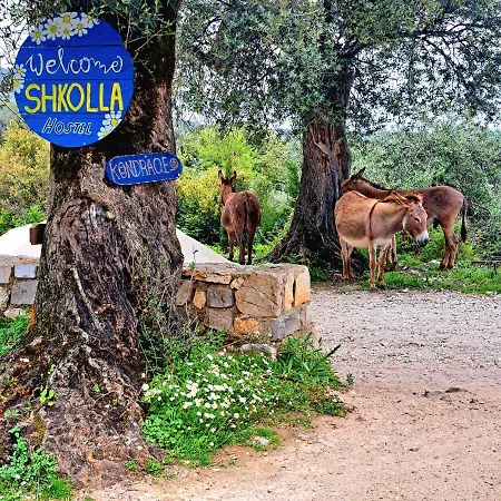 Shkolla & אכסניה