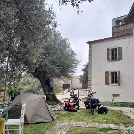 Shkolla & *
