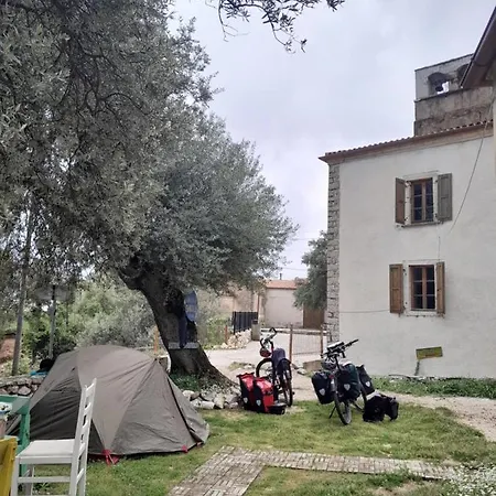 Shkolla & *