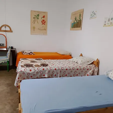 Shkolla & * Vuno