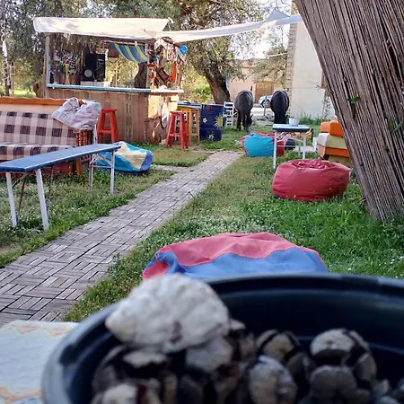 Shkolla &
