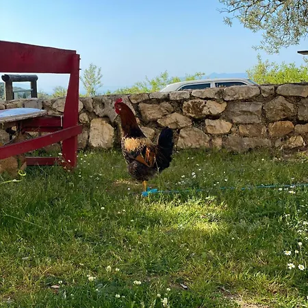 Shkolla & * Vuno