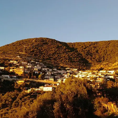 Shkolla & *