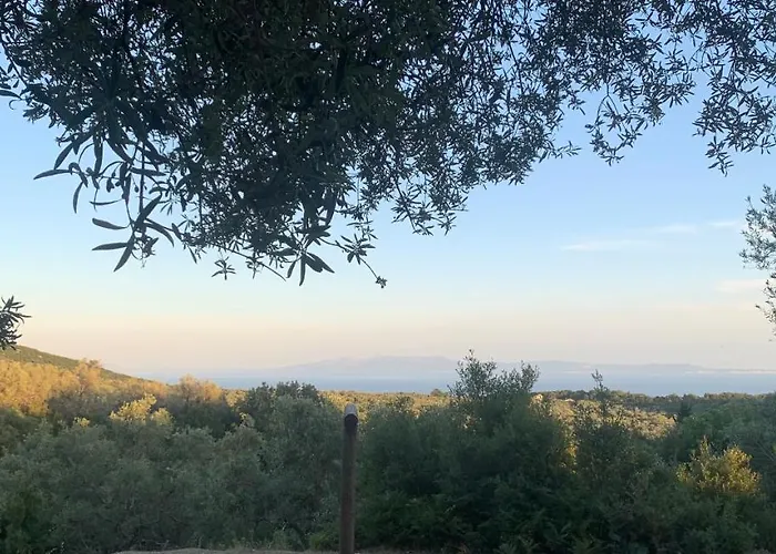 Hostel Shkolla & Vuno