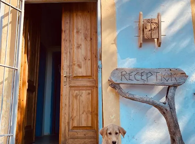 Hostel Shkolla & Vuno